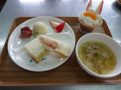 サンドイッチ☆ポテトサラダ☆鶏の照り焼き☆野菜スープ☆いちご★プリン